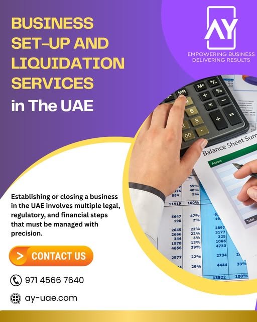 AY UAE Business Setup Services