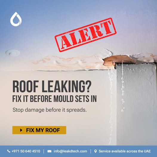 Roof leaking fixing